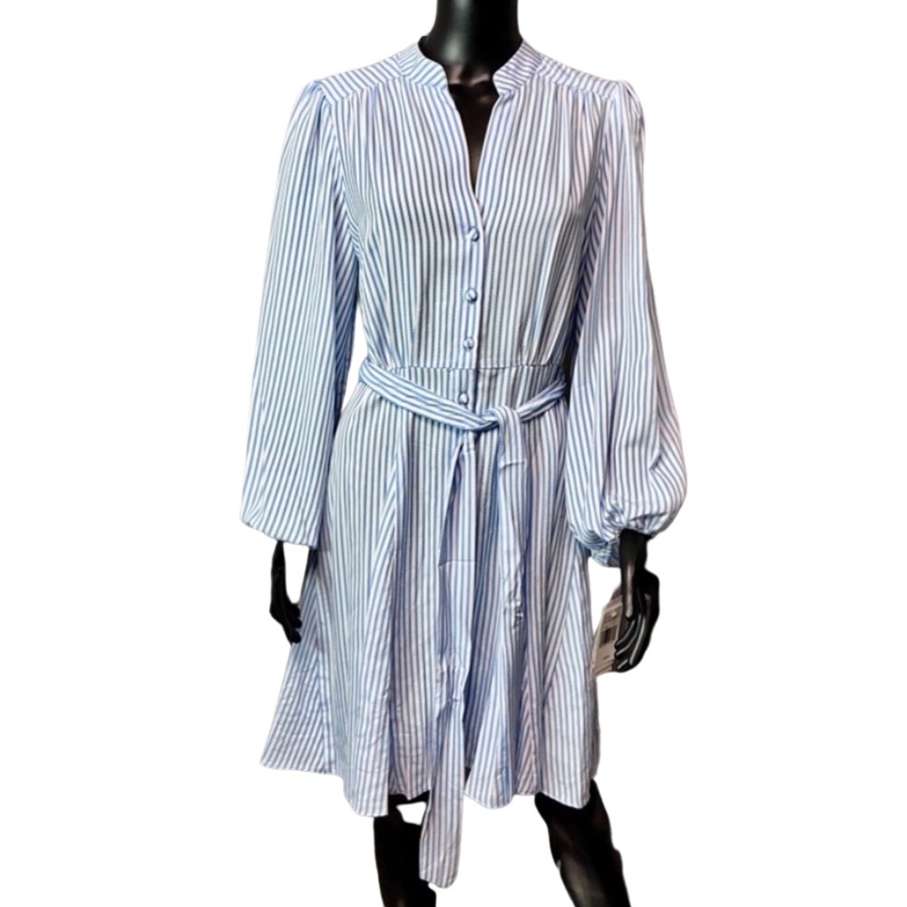 Taylor Blue and White Striped Long Sleeve Dress